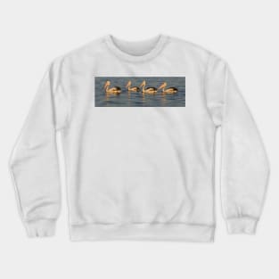 Pelicans at Sunset Crewneck Sweatshirt